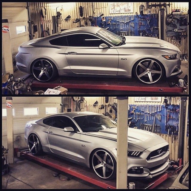 Mustang Mondays! 5.0
